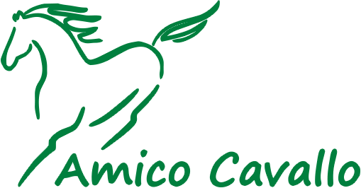 Amico Cavallo